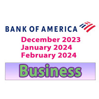 3 Months Bank of America Business Bank Statement Template –December, January, February 2025