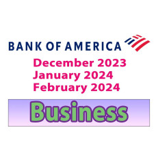 3 Months Bank of America Business Bank Statement Template –December, January, February 2025