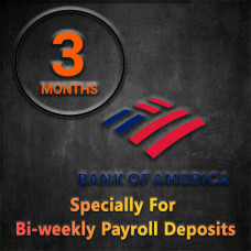 3 Months of Bank Of America Personal Mar,Apr,May 2024 Bank Statement Generator