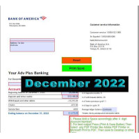 Personal December 2022 Bank of America Bank Statement Template
