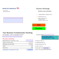 BOA November 2021 Editable Bank Statement 