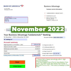 November (BofA) 2022 Editable Bank Statement Template (Business) 